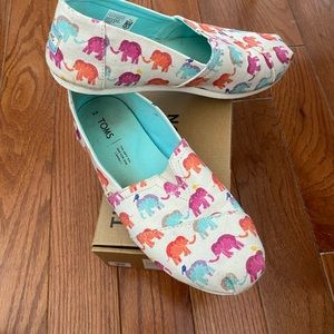 Elephant toms
